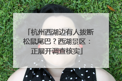 杭州西湖边有人拔断松鼠尾巴？西湖景区：正展开调查核实