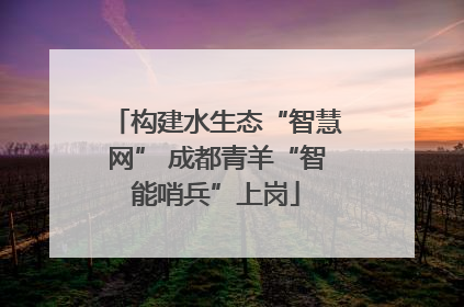 构建水生态“智慧网” 成都青羊“智能哨兵”上岗