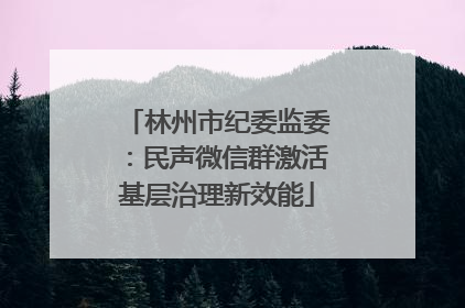 林州市纪委监委：民声微信群激活基层治理新效能