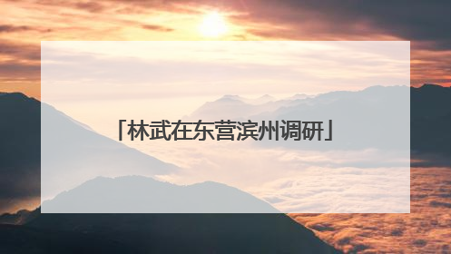 林武在东营滨州调研