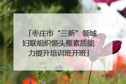 枣庄市“三新”领域妇联组织领头雁素质能力提升培训班开班