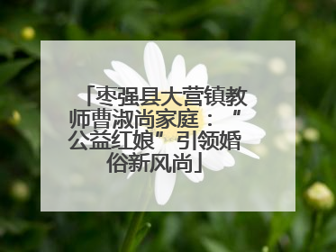 枣强县大营镇教师曹淑尚家庭：“公益红娘”引领婚俗新风尚