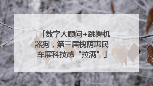 数字人顾问+跳舞机器狗，第三届槐荫惠民车展科技感“拉满”