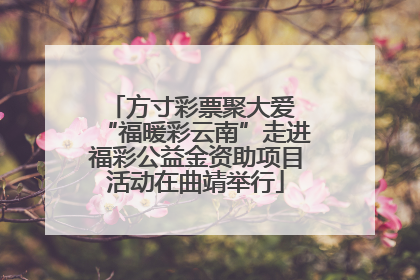 方寸彩票聚大爱 “福暖彩云南”走进福彩公益金资助项目活动在曲靖举行
