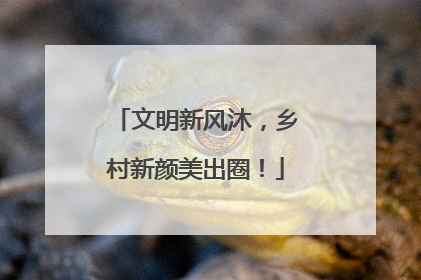 文明新风沐，乡村新颜美出圈！