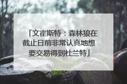 文霍斯特：森林狼在截止日前非常认真地想要交易得到杜兰特