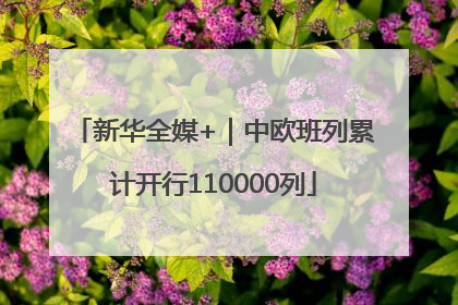 新华全媒+｜中欧班列累计开行110000列