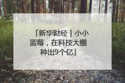 新华财经｜小小蓝莓，在科技大棚种出9个亿