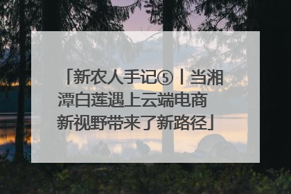 新农人手记⑤丨当湘潭白莲遇上云端电商 新视野带来了新路径