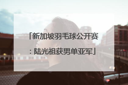 新加坡羽毛球公开赛：陆光祖获男单亚军