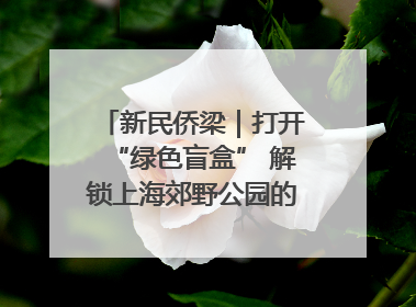 新民侨梁｜打开“绿色盲盒” 解锁上海郊野公园的N种玩法