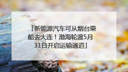新能源汽车可从烟台乘船去大连！渤海轮渡5月31日开启运输通道