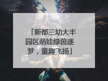 新都三幼大丰园区萌娃绿茵逐梦，童趣飞扬