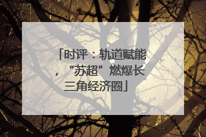 时评：轨道赋能，“苏超”燃爆长三角经济圈