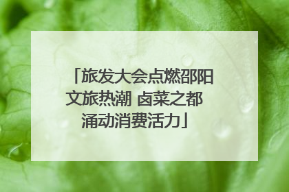 旅发大会点燃邵阳文旅热潮 卤菜之都涌动消费活力
