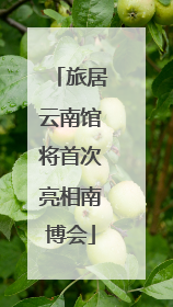 旅居云南馆将首次亮相南博会