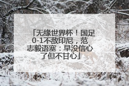 无缘世界杯！国足0-1不敌印尼，范志毅语塞：早没信心了但不甘心