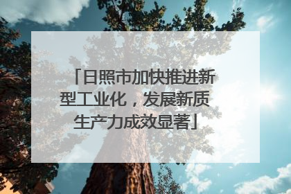 日照市加快推进新型工业化，发展新质生产力成效显著