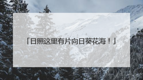 日照这里有片向日葵花海！
