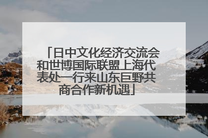 日中文化经济交流会和世博国际联盟上海代表处一行来山东巨野共商合作新机遇