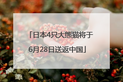 日本4只大熊猫将于6月28日送返中国