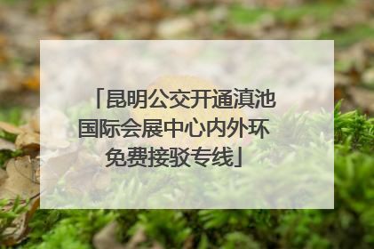 昆明公交开通滇池国际会展中心内外环免费接驳专线
