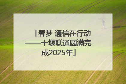 春梦 通信在行动——十堰联通圆满完成2025年