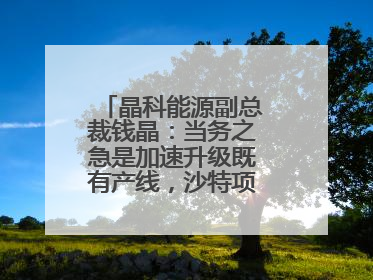 晶科能源副总裁钱晶：当务之急是加速升级既有产线，沙特项目正推进中