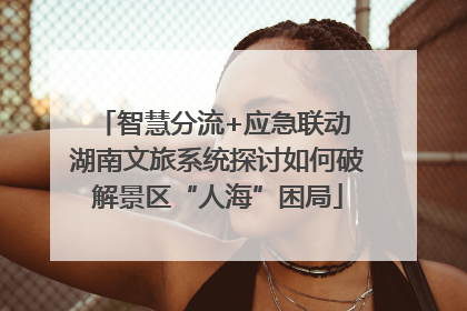 智慧分流+应急联动 湖南文旅系统探讨如何破解景区“人海”困局