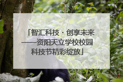 智汇科技・创享未来——资阳天立学校校园科技节精彩绽放