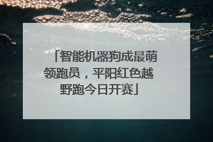 智能机器狗成最萌领跑员，平阳红色越野跑今日开赛