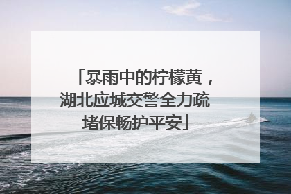 暴雨中的柠檬黄，湖北应城交警全力疏堵保畅护平安