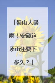 暴雨大暴雨！安徽这场雨还要下多久？