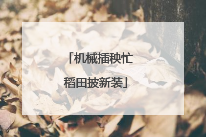 机械插秧忙 稻田披新装