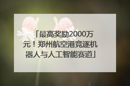 最高奖励2000万元！郑州航空港竞逐机器人与人工智能赛道