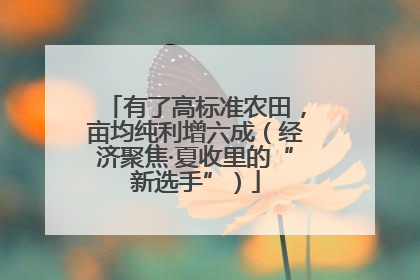 有了高标准农田，亩均纯利增六成（经济聚焦·夏收里的“新选手”）
