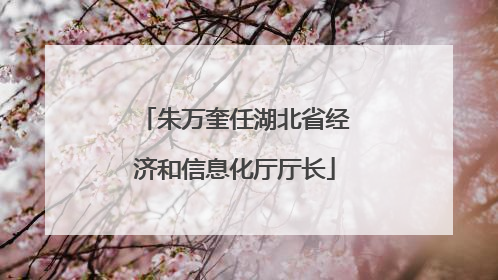 朱万奎任湖北省经济和信息化厅厅长