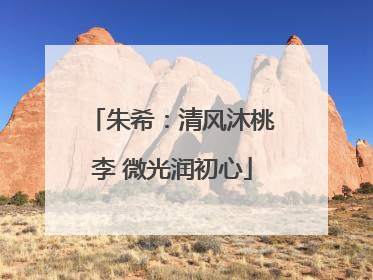 朱希：清风沐桃李 微光润初心