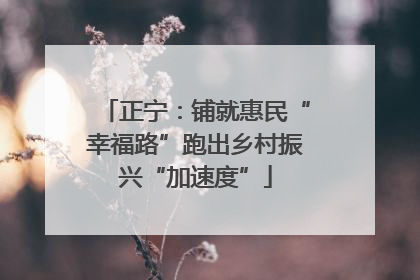 正宁：铺就惠民“幸福路”跑出乡村振兴“加速度”