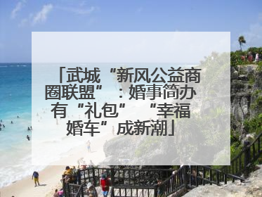 武城“新风公益商圈联盟”：婚事简办有“礼包” “幸福婚车”成新潮