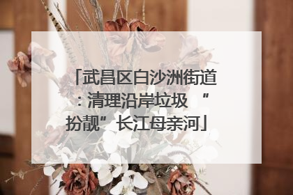 武昌区白沙洲街道：清理沿岸垃圾 “扮靓”长江母亲河