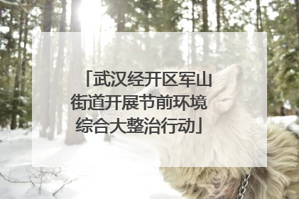 武汉经开区军山街道开展节前环境综合大整治行动