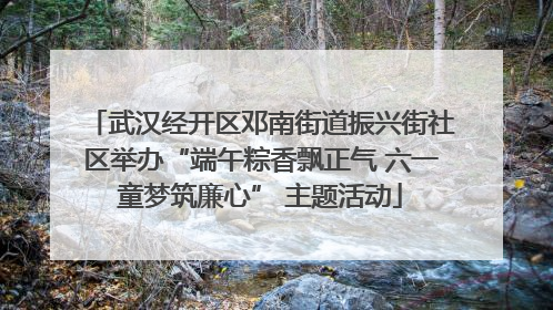 武汉经开区邓南街道振兴街社区举办“端午粽香飘正气 六一童梦筑廉心” 主题活动