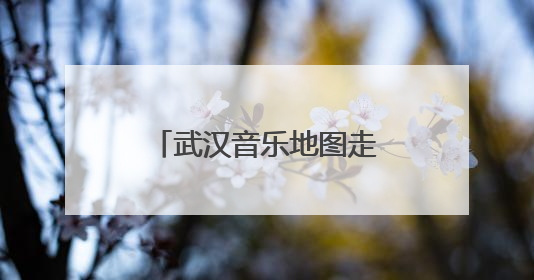 武汉音乐地图走进武汉经开区
