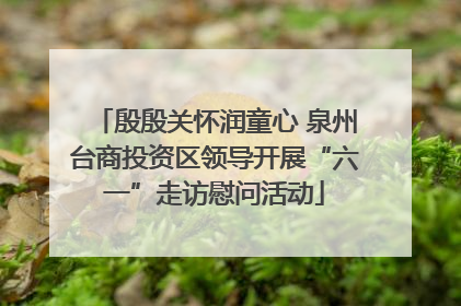 殷殷关怀润童心 泉州台商投资区领导开展“六一”走访慰问活动