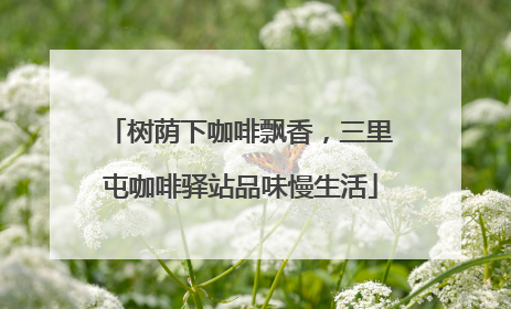 树荫下咖啡飘香，三里屯咖啡驿站品味慢生活