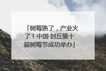 树莓熟了，产业火了！中国·封丘第十届树莓节成功举办