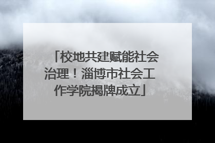 校地共建赋能社会治理！淄博市社会工作学院揭牌成立