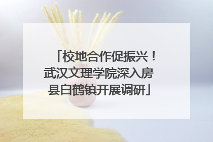 校地合作促振兴！武汉文理学院深入房县白鹤镇开展调研