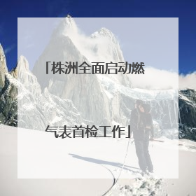 株洲全面启动燃气表首检工作